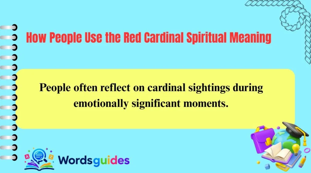How People Use the Red Cardinal Spiritual Meaning
