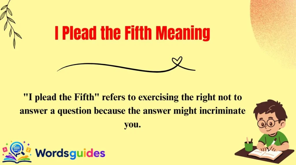 I Plead the Fifth Meaning