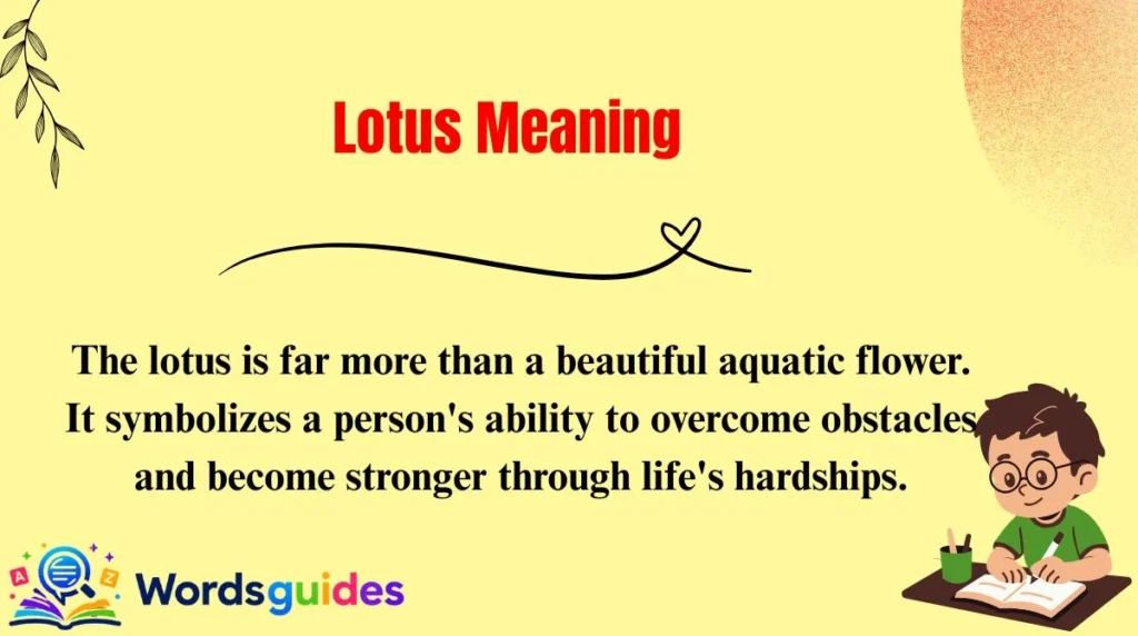 Lotus Meaning