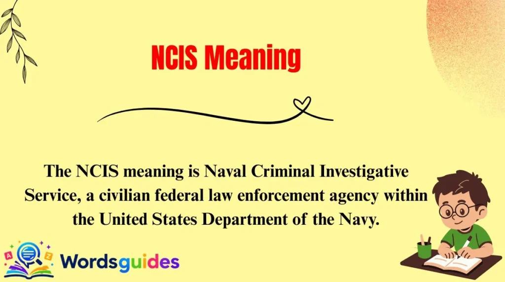 NCIS Meaning