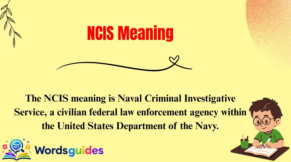 NCIS Meaning
