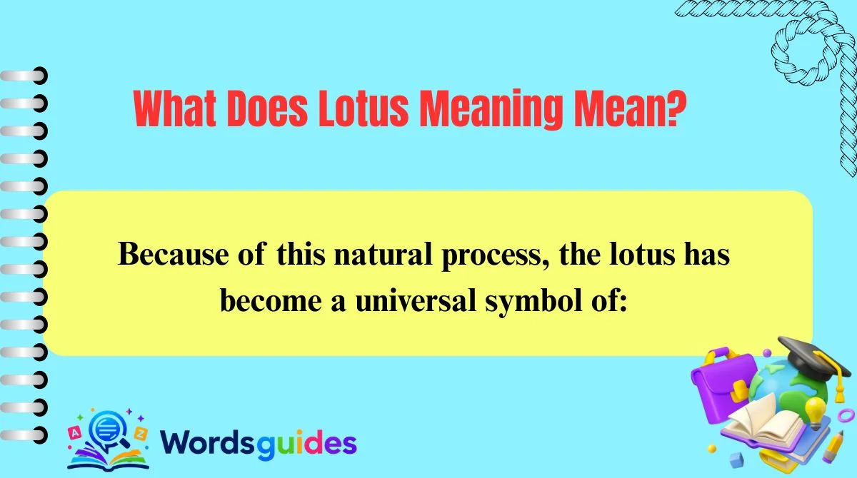 What Does Lotus Meaning Mean?
