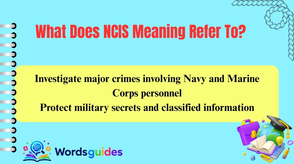What Does NCIS Meaning Refer To?