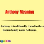 Anthony Meaning
