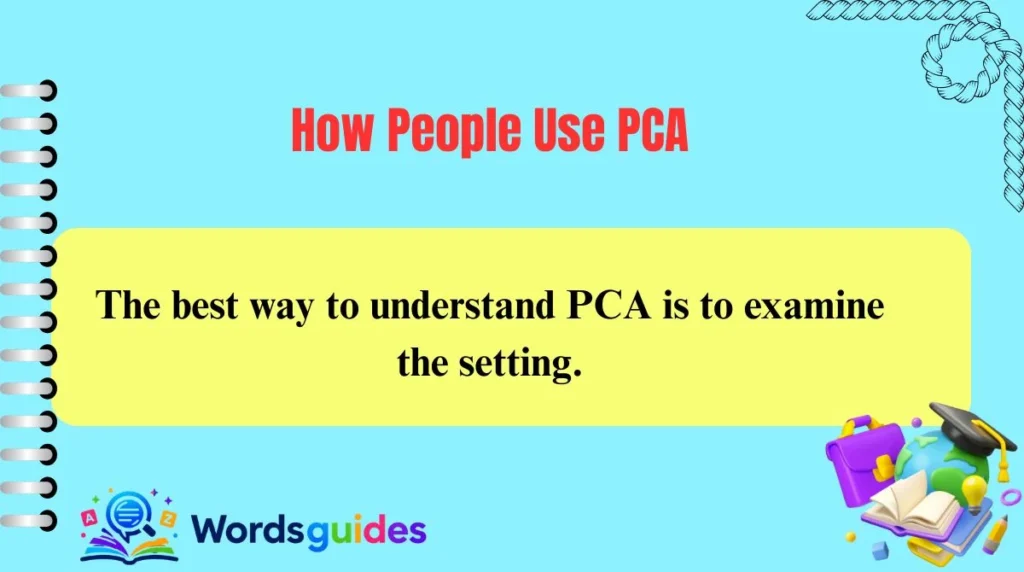 How People Use PCA