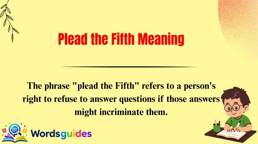 Plead the Fifth Meaning