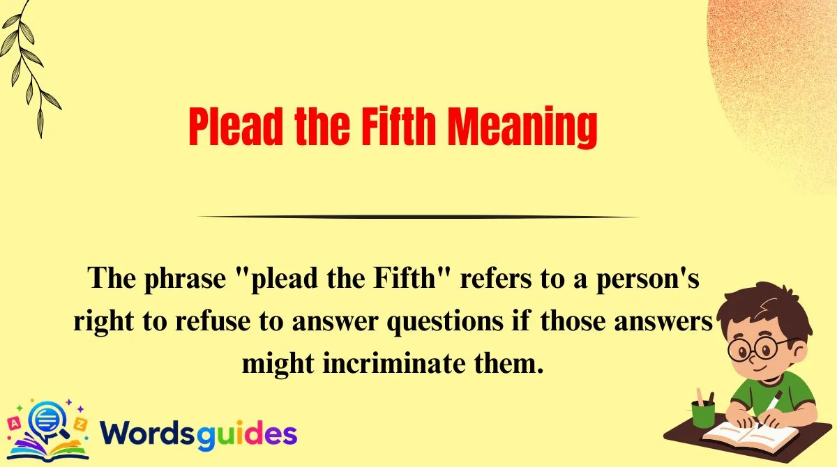 Plead the Fifth Meaning