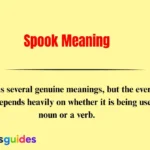 Spook Meaning