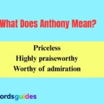 What Does Anthony Mean?